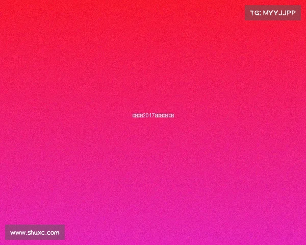 丁宁赛事2017结果、丁宁 冠军