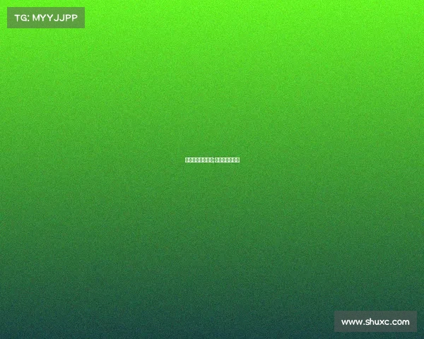 国际射击赛事选拔;国际射击锦标赛